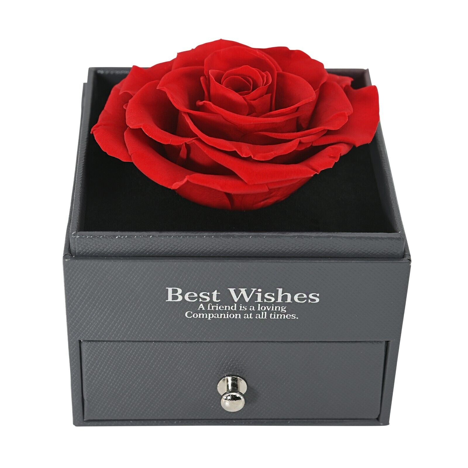 Real Preserved Rose Box with I Love You Necklace with Earrings Jewelry Set